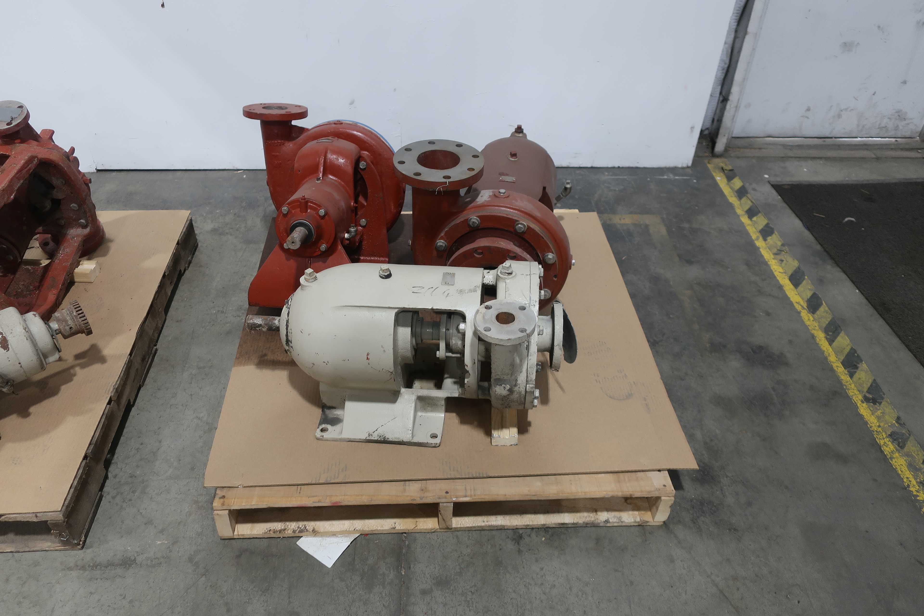 SKU 1740811 - 2 PALLETS OF ASSORTED CENTRIFUGAL PUMPS - CENTRIFUGAL PUMP
